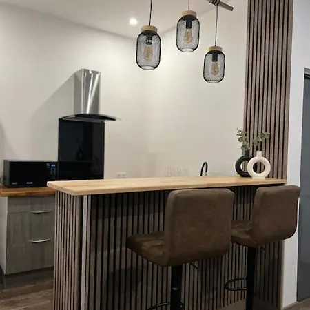 Appartement Cosy House Et Spa Privatif Geispolsheim